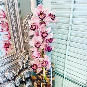 "Feel Good Flowers" -Cymbidium Orchid in 12"glass cylinder vase