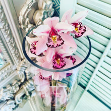 Load image into Gallery viewer, &quot;Feel Good Flowers&quot; -Cymbidium Orchid in 12&quot;glass cylinder vase
