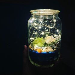 DIY Terrarium - 1l Mason Jar with fairy lights